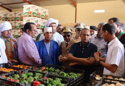 اترارزة: وزير الزراعة يتفقد مشاريع الري وإنتاج الخضروات في افطوط الساحلي