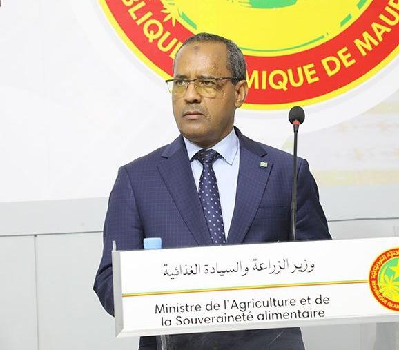 وزير الزراعة: الإنتاج الزراعي ارتفع بنسبة 140% خلال ست سنوات